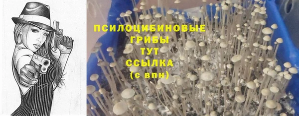 кристаллы Арсеньев