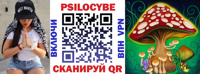 Псилоцибиновые грибы Psilocybe Северобайкальск